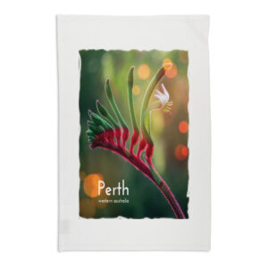 Tea Towel Organic Cotton White Perth Kangaroo Paw