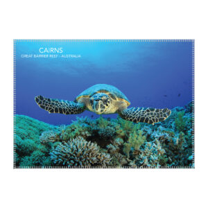 Tea Towel Microfibre Cairns Turtle