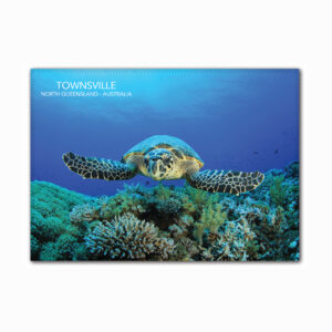 Tea Towel Microfibre Townsville Turtle