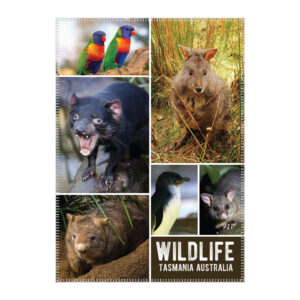 Tea Towel Microfibre Tasmania Wildlife 6 Scene