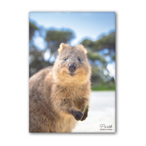 Tea Towel Microfibre Perth Quokka