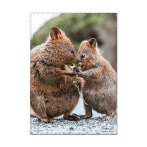 Tea Towel Microfibre Perth Two Quokkas