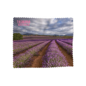Lens Cloth Tasmania Lavender