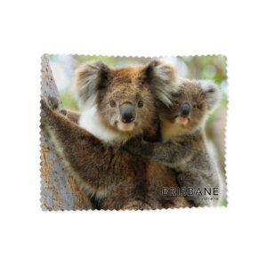 Lens Cloth Brisbane Koala