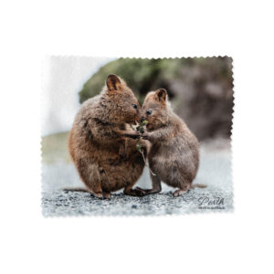 Lens Cloth Perth Two Quokkas