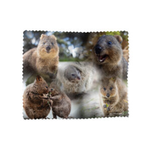 Lens Cloth Perth Quokka Montage