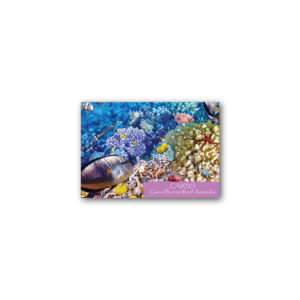 Magnet Gallery Standard Cairns Underwater
