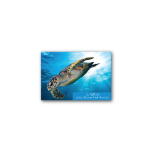 Magnet Gallery Standard Cairns Turtle