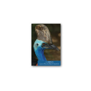 Magnet Gallery Standard Cairns Cassowary
