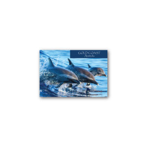 Magnet Gallery Standard Gold Coast Dolphin Family Jumping