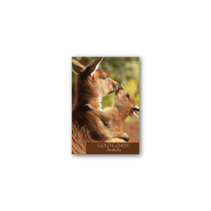 Magnet Gallery Standard Gold Coast Kangaroos