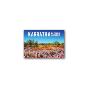 Magnet Gallery Standard Karratha Mulla Mulla