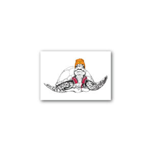 Magnet Gallery Standard CRNS Turtle White