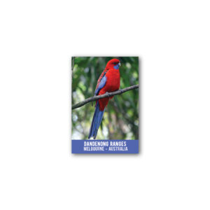 Magnet Gallery Standard Dandenong Ranges Rosella
