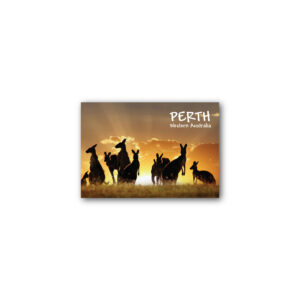 Magnet Gallery Standard Perth Kangaroos
