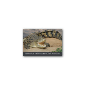 Magnet Gallery Standard Townsville Crocodile