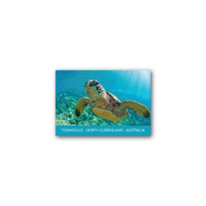 Magnet Gallery Standard Townsville Turtle