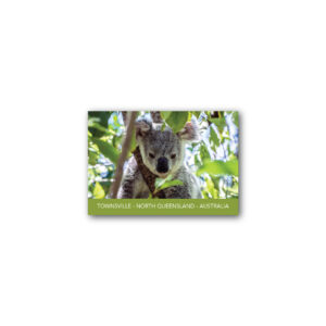 Magnet Gallery Standard Townsville Koala