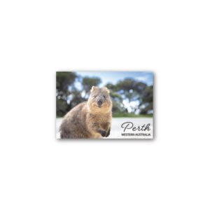 Magnet Gallery Standard Perth Quokka