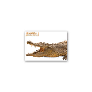 Magnet Gallery Standard Townsville Crocodile