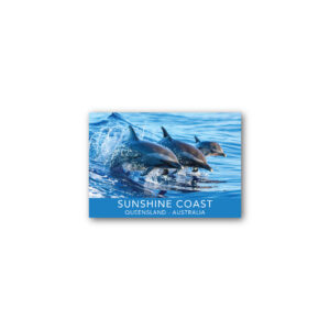 Magnet Gallery Standard Sunshine Coast Dolphins