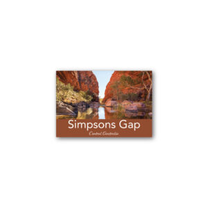 Magnet Gallery Standard Simpsons Gap