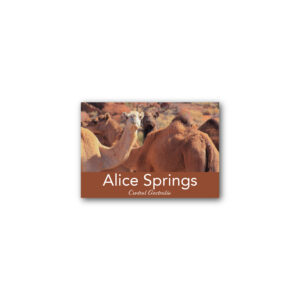 Magnet Gallery Standard Alice Springs Camels
