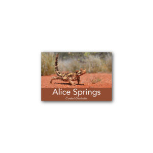 Magnet Gallery Standard Alice Springs Thorny Devil