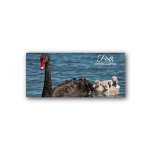 Magnet Gallery Panoramic Perth Swan