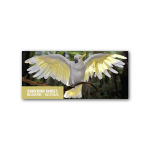 Magnet Gallery Panoramic Dandenong Ranges Cockatoo