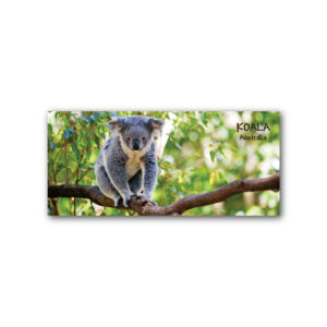 Magnet Gallery Panoramic Koala Australia