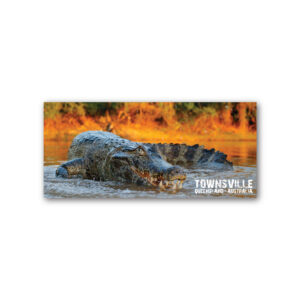 Magnet Gallery Panoramic Townsville Crocodile