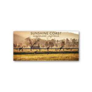 Magnet Gallery Panoramic Sunshine Coast Kangaroos