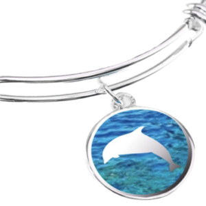 Bracelet Round Dolphin Charm