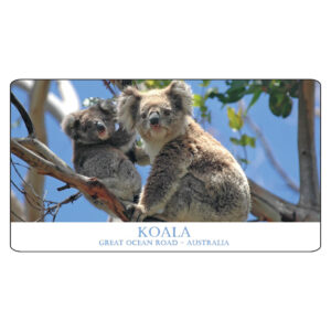 Magnet Photo Standard Koala Great Ocean Road