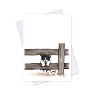 Greeting Card Fig Hill Farm Curious Collie