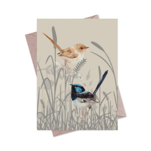 Greeting Card Two Wrens Grasslands Blue Wren