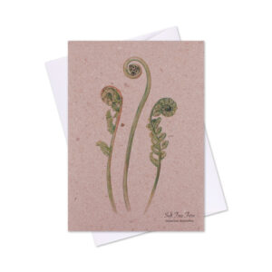 Greeting Card Soft Tree Fern Fronds