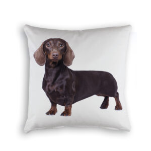 Cushion Cover Organic Cotton White Dachshund