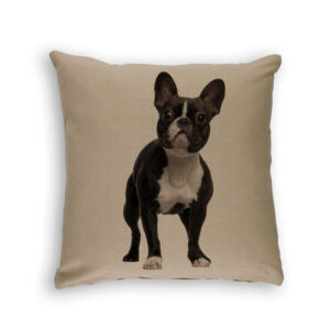 Cushion Cover Organic Cotton Beige French Bulldog