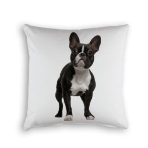 Cushion Cover Organic Cotton White French Bulldog