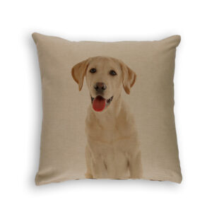 Cushion Cover Organic Cotton Beige Labrador