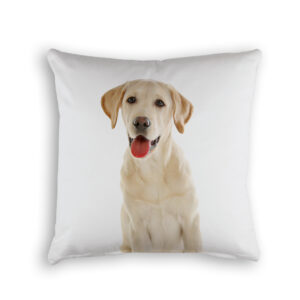 Cushion Cover Organic Cotton White Labrador