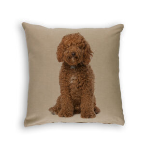 Cushion Cover Organic Cotton Beige Labradoodle