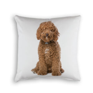 Cushion Cover Organic Cotton White Labradoodle