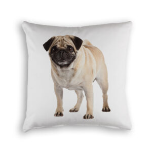 Cushion Cover Organic Cotton White Pug