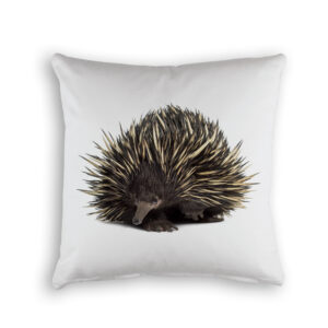Cushion Cover Organic Cotton White Echidna