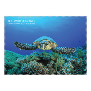 Tea Towel Microfibre Hamilton Island Turtle
