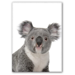 Tea Towel Microfibre Koala