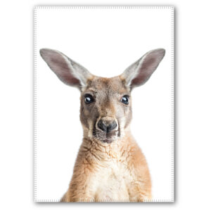 Tea Towel Microfibre Kangaroo Head
